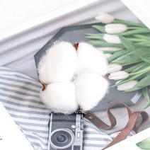 인조잔디 시공 테라스인조잔디 인조잔디매트양초 DIY 재료 계피 롤 말린 꽃 향기 홈 장식 웨딩 솔방울 고, 08 A cotton