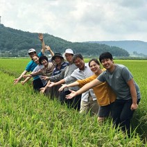 [마을기업] 친환경 무농약 8종쌀, 1팩, 무농약 백미(신동진) 4kg