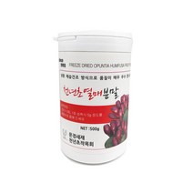 천년초 선식 줄기열매분말 200g 500g 각3종/ 간편식 식사대용 슈퍼푸드 장건강, 천연초 열매분말 200g