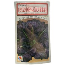 적대엽고채 갓 씨앗 적갓 아카오바타카나 10g 일본 다끼이 생산 해남 갓 해풍 갓 여수 갓