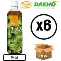 까르페 매실 차 1000ml X 6개 액상 과일 음료 아이스티 원액