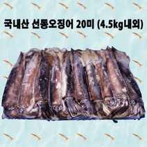 청호동생선가게 선동오징어 20미 (4.5kg내외), 20미 4.5kg내외