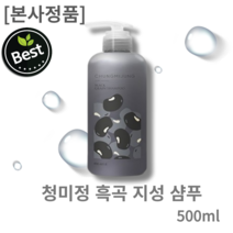 청미정 흑곡 지성샴푸 500ml, 1개
