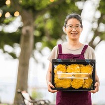 국산 농장직송 장수상황버섯 300g 특상품 선물세트, 단품