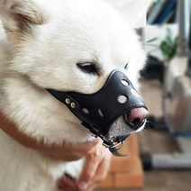 브라더펫 튼튼 대형견 중형견 소형견 강아지 입마개 진돗개 도베르만 퍼그 보스턴테리어 짖음방지 애견 개 가죽입마개 중대형견 훈련용, 1개, 블랙 XL