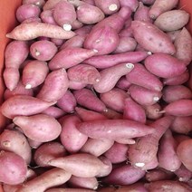 아주작은 팍팍한 밤고구마 2kg, 1개