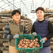 무농약 생 표고버섯 1kg / 건 표고버섯 100g, 생표고 슬라이스 1kg