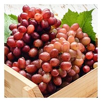 [팜쿡] 고당도 적포도 크림슨포도 1kg x4팩