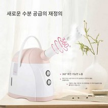 스팀기 헤어스팀기 얼굴스팀기 페이스 스티머 가정용, KD2320 페이셜 스팀 페이셜 스티머(핫 스프레이 전