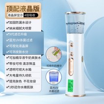 스팀 페이스 디스펜서 휴대용 안면 미스트 분무기, LCD 버전