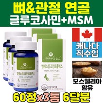 무릎 관절 연골 글루코사민 엠에스엠 MSM 3통 무릅 상어연골 추천 msm 조인트 녹색입홍합 프리미엄 영양제 건강 케어 JOINT 비타민d 보스웰리아 식이유황 손가락 노인 골드 남자