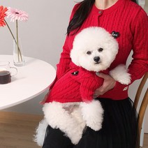 토끼독 강아지옷 꽈배기 니트가디건 커플룩 3컬러 S-2XL 강아지가을옷 겨울옷 (견주옷별매), 레드