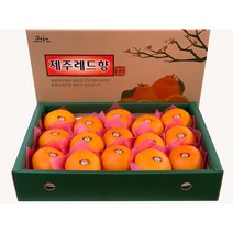제주도 레드향 한라봉 3 kg 5 키로 10 kg 설 선물세트 가정용, 선물용 중과 5 kg (16~21과)