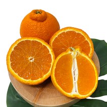 제주 신품종 써니트 한라봉 (정품) 3kg(12과/15과내외) 진한빛깔에 맛과 향도 진한 제주한라봉, 정품 3kg(중소/15과내외)