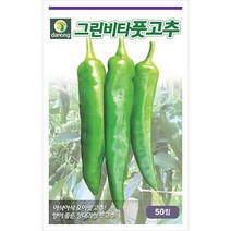 밀크티쓸 흰무니 엉겅퀴 2g - 씨 씨앗 밀크씨슬 엉겅퀴씨앗 나물 나물씨앗 채소씨 채소씨앗 흰무니엉겅퀴, 11_다농_그린비타 풋고추(50립)