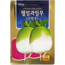 과일무씨앗 100립 23년생산 수박무씨앗 미래종묘, 1개
