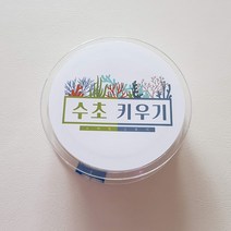 수초활착실 모스 나나 부세 음성수초 활착용 활착실 모스용 비탄성, 모스용 200m(비탄성)