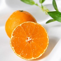 EM농법 황금향 초록자연 제주귤 5kg 서귀포(혼합과), 1개