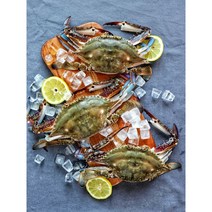 국내산 살꽉찬 수꽃게 중 5kg(25미 내외) [어성호], 냉동 수꽃게(25~30미)