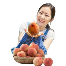 딱딱이복숭아철 먹는 딱딱이 말랑이 신비복숭아 납작 천도 백도 황도 하우스 납작 복숭아, 말랑이(황도&백도), 1.5kg(8-10과), 소과