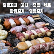 캠핑꼬치 닭꼬치 염통꼬치 꼬치 닭목살꼬치 은행꼬치, 은행꼬치7p