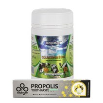 메가맥스 초유 플러스 700mg 300정 (츄어블), 1개