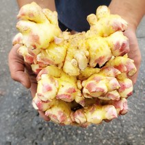 꼭지네 국내산 2022년 수확한 흙 생강 1kg 3kg 5kg 10kg