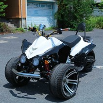 역삼륜오토바이 산악 정비 125cc 소형 전기, 150cc 플래그십 모델