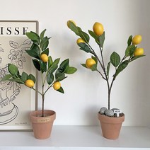 베듀 레몬나무 조화 화분 미니 유주나무 화분 인조화분 인테리어, 미니 숏트 B 화분