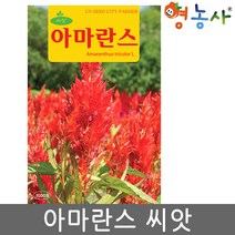아마란스씨앗 3000립, 1개