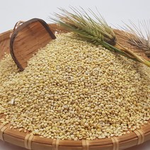 2022년 수확 햇 국산 찰보리 소화잘되는 고향의맛 보리 10kg 20kg, 찰보리 10kg(5kg x 2개)