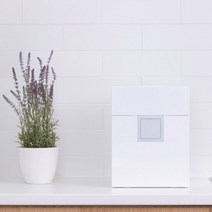 [오너클랜] 루펜 SLW-07, 네온 블루, 색상:네온 블루