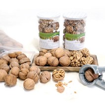 친환경 무농약 김천 국산호두 ( 알호두 깐호두 ), 알호두1kg 대사이즈