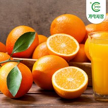 [온도씨]가락시장 오렌지 1개, 단품