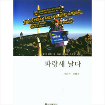 파랑새 날다, 신아출판사, 김형철