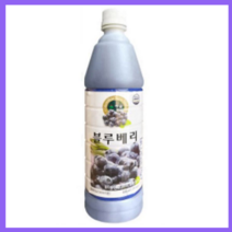 청솔 블루베리 음료베이스 / 과일원액, 835ml, 2개