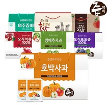 즙쟁이 [즙쟁이] 건강즙 2박스 모음구성, 2개, 오직사과즙 2박스 60포