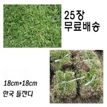씨앗 선물 중지 18cm 25개 들잔디 산소잔디 채소 한국잔디 꽃, 단품