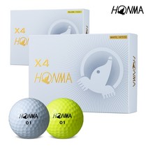 GOLFZON 혼마골프 혼마 X4 골프공_4피스, 사이즈, 화이트_12알