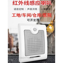 자동 동작 감지 센서 음성 안내 방송 스피커 적외선 현장 움직임 경보기 방수 태양광, 9.솔라 바디 유도 야외 방수 태양광