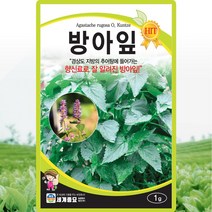 방아잎 씨앗 방아 씨 종자 1g, 단품
