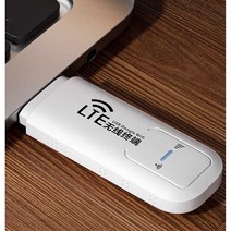 휴대용 WIFI 무선 고속인터넷 광대역 LTE 네트워크, 단일 네트워크