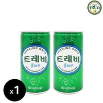 트레비 플레인 190ml x 1입낱개) 탄산수 미니캔 카페 음료수