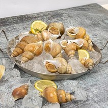 [산지직송] 자연산 동해안 백골뱅이 1kg (소45-60미), 단품