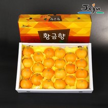 제주연가 황금향 (선물용), 1통, 3kg(8~10과), 3kg