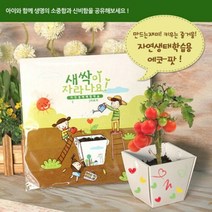 꿈쟁이 에코팟 자연생태학습용 허브바질