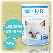 펫에그 새끼 고양이 분유 이유식 설사 혈변 안하는 도움 KMR 파우더 초유 개선 도움 건강 분말 아기 반려 묘 동물 길 잘먹는 초보 집사 되기 구조 상식 먹이는 법 영양, 340g 2개입