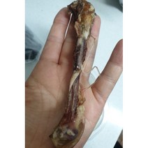 강아지 기호성 간식 생오리고기 목뼈 가슴살 안심 오돌뼈 근위 염통 도가니 혀 대용량, 12.무항생제 오리도가니(대) 1kg