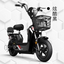 전기자전거 장거리 2륜 배터리 자전거, 20 20A 납산 국가 공동 보증 Tianneng /, 48V