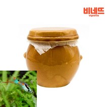 수족관 항아리 어항꾸미기 열대어은신처 관상용물고기 물고기은신처 구피바닥재
